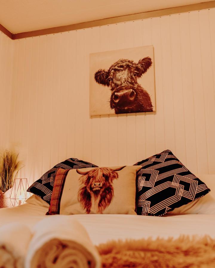 Vila Wooden Cosy Retreat Hunters Quay Dunoon Exteriér fotografie