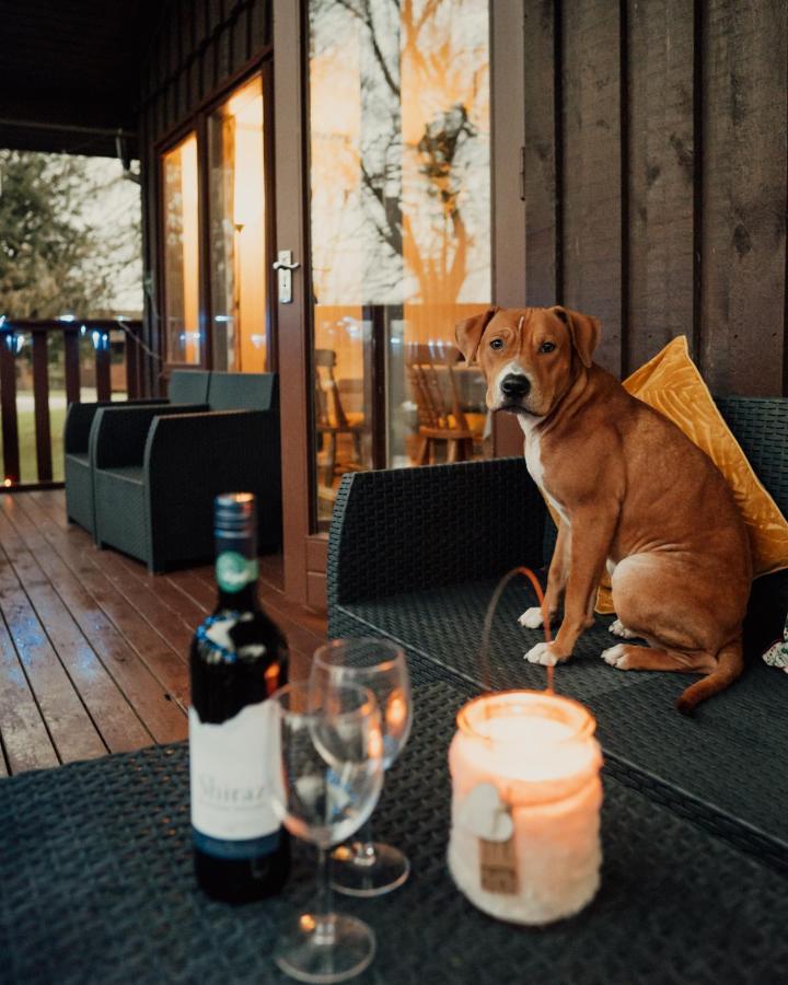 Vila Wooden Cosy Retreat Hunters Quay Dunoon Exteriér fotografie